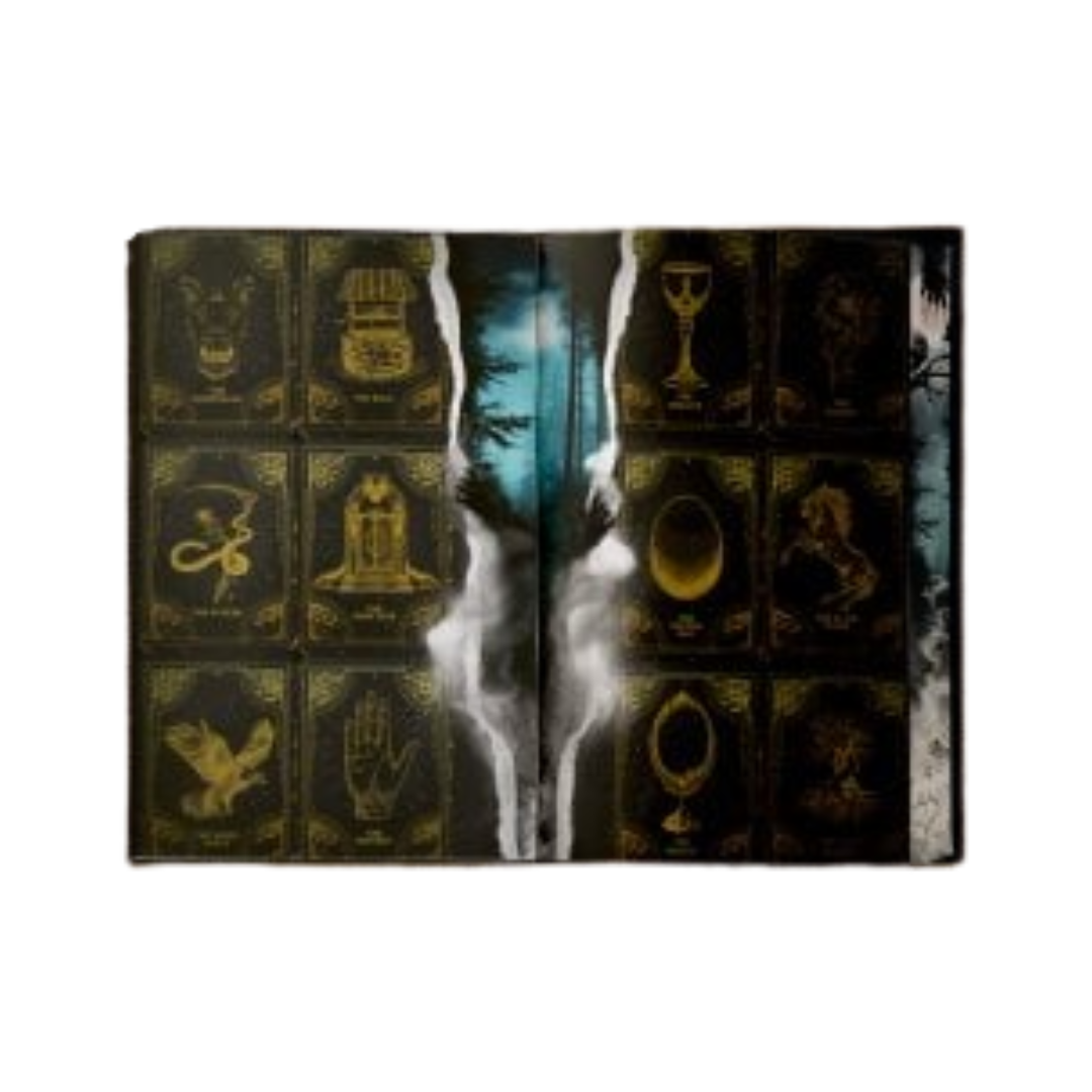 Special Edition: One Dark Window  - Rachel Gillig